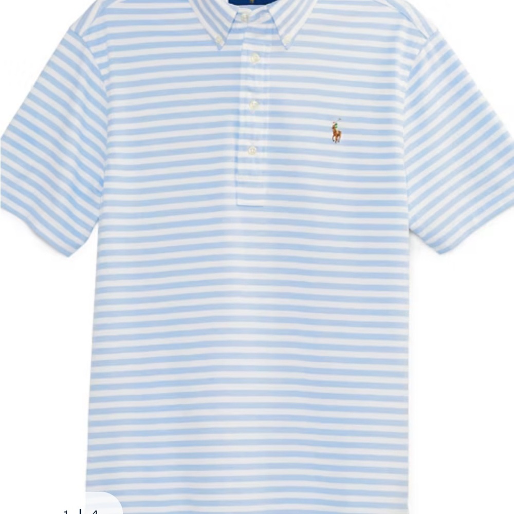 Polo Ralph Lauren Mens Hampton Classic Fit Blue Striped Polo Shirt Size M - Picture 2 of 6